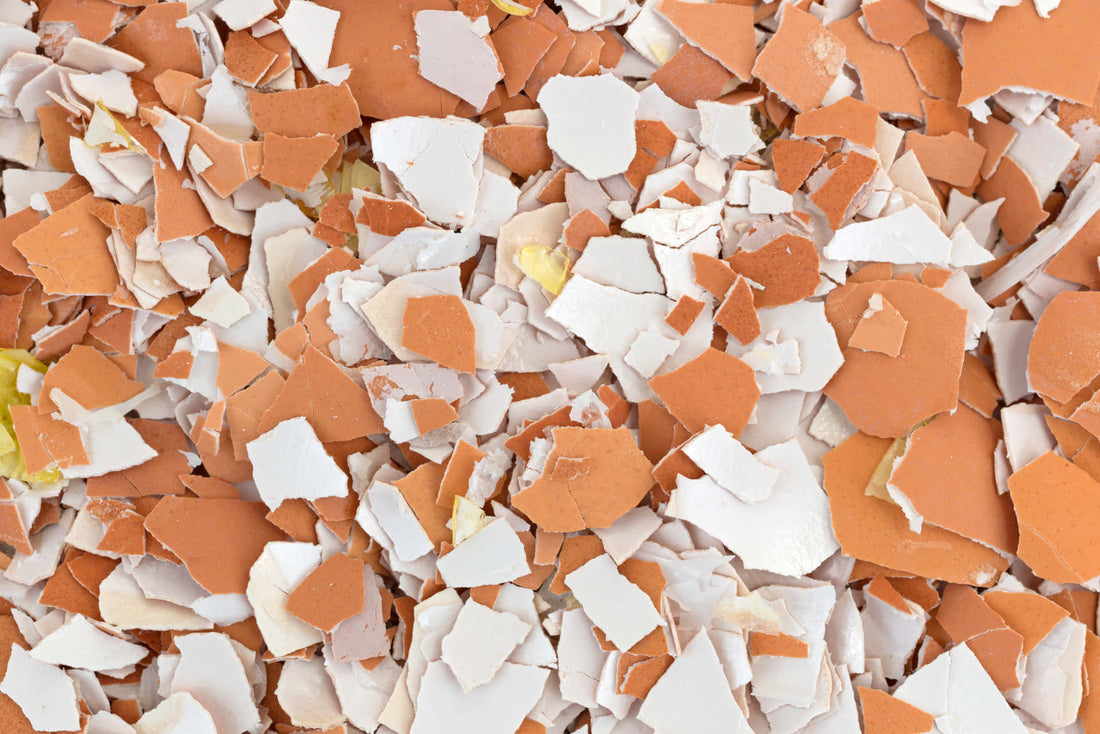 Tojáshéj: A konyhai hulladék értékes titka